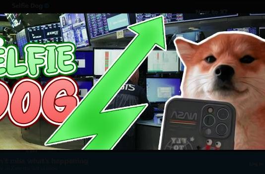 Prime Solana Meme Cash To Attain $1B Market Cap