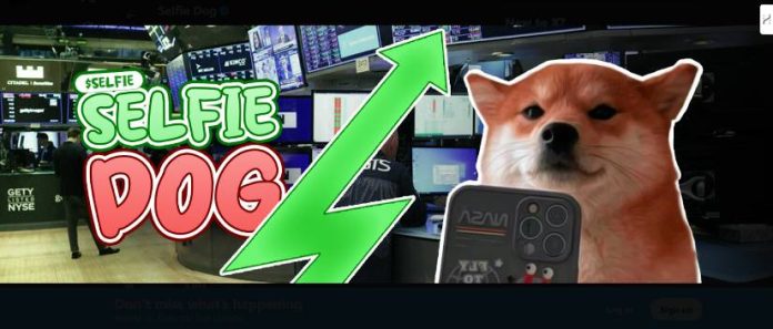 Prime Solana Meme Cash To Attain $1B Market Cap