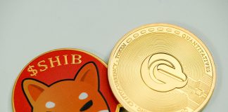 Shiba Inu Breaks Above Trendline: Can The Bulls Drive SHIB To $0.00002045? Shiba Inu Breaks Above Trendline: Can The Bulls Drive SHIB To $0.00002045?
