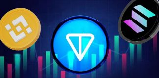 Toncoin Worth Prediction: Why is TON worth down right now and the way BNB’s market cap shot previous Solana (SOL) regardless of current crypto market occasions