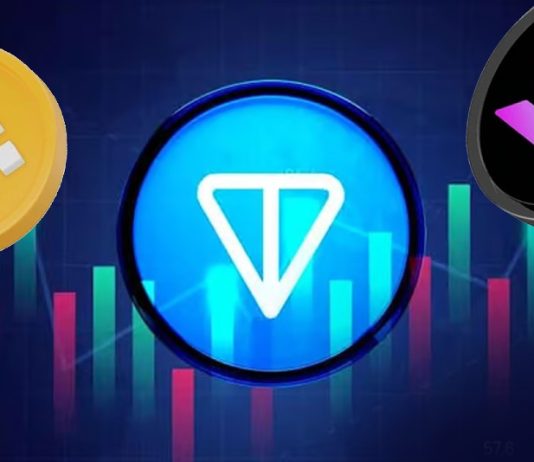 Toncoin Worth Prediction: Why is TON worth down right now and the way BNB’s market cap shot previous Solana (SOL) regardless of current crypto market occasions