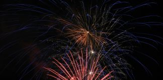 Solana (SOL) Ripe For Value Discovery, Analyst Eyes $600 Goal