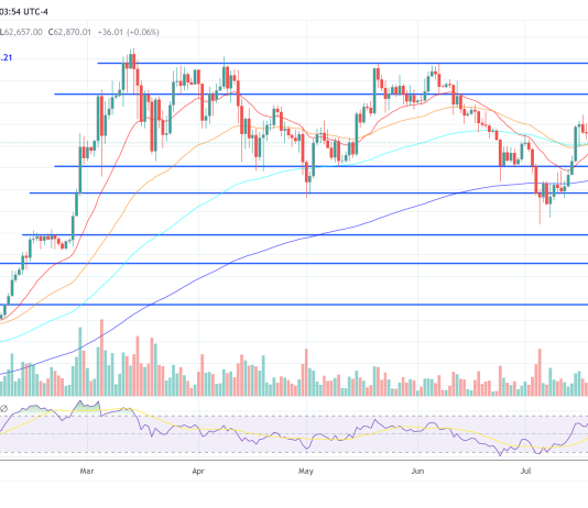 Skilled Explains Why Bitcoin Worth Might Explode To $1 Million This Cycle