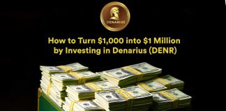 The right way to Flip $1,000 into $1 Million by Investing in Denarius (DENR)