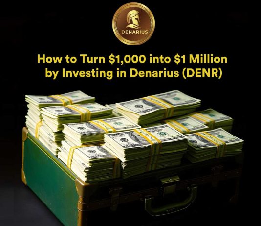 The right way to Flip $1,000 into $1 Million by Investing in Denarius (DENR)