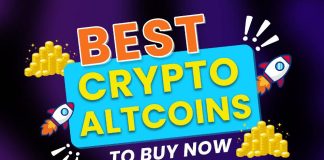 Greatest Altcoins to Put money into Now to Earlier than the 2025 Crypto Bull Run [List]