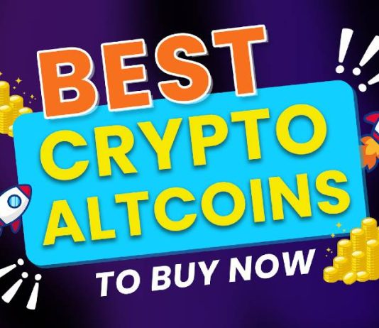 Greatest Altcoins to Put money into Now to Earlier than the 2025 Crypto Bull Run [List]