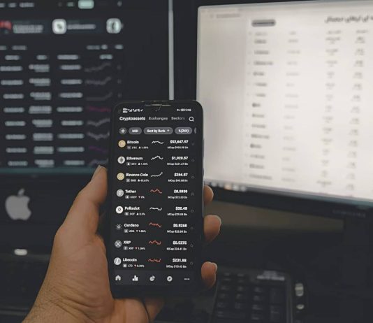 Crypto Whales Shift Focus from Solana and XRP to Rising New Cryptocurrency