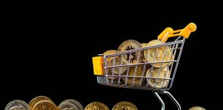 Finest Crypto Cash to Purchase Now for Lengthy-Time period: Get 1000x Earnings Delivered to Your Portfolio in 2025! Finest Crypto Cash to Purchase Now for Lengthy-Time period: Get 1000x Earnings Delivered to Your Portfolio in 2025!