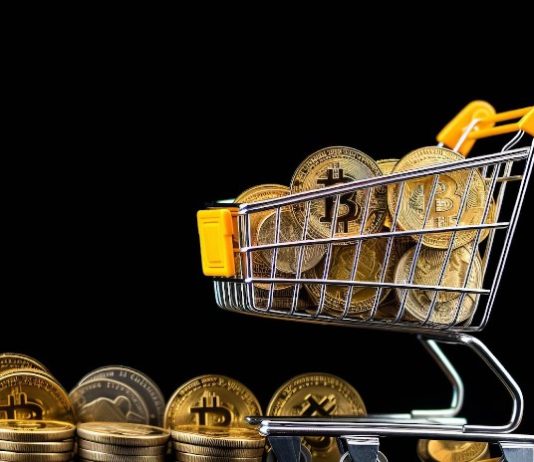 Finest Crypto Cash to Purchase Now for Lengthy-Time period: Get 1000x Earnings Delivered to Your Portfolio in 2025!