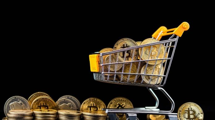 Finest Crypto Cash to Purchase Now for Lengthy-Time period: Get 1000x Earnings Delivered to Your Portfolio in 2025!