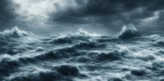 Beautiful Fall From Grace: Cardano Suffers 90% Plunge In Market Share Since ’21