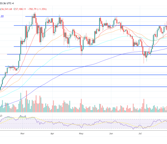 Analysts Predict The Begin Of Crypto’s First Ever Secular Bear Market