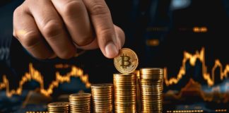 Greatest Crypto Cash to Purchase Through the Market Dip: Make 1000x in Revenue When They Bounce Again!