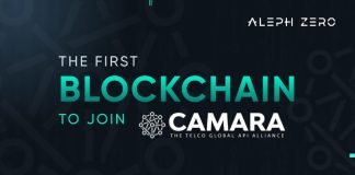 Aleph Zero Joins CAMARA because the First Blockchain Group