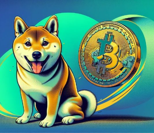 Wall Avenue Dealer Says Bitcoin Is a Protected Alternative, However He Buys Memecoins Like Dogecoin and Dogen for 100x Earnings in September