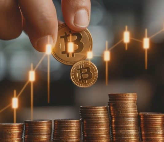 7 New Crypto Cash That Are Prepared for Excessive Returns: 100x Development Potential in 6 Months!