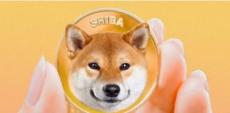 Why A Main Investor Is Nonetheless Very Bullish On Shiba Inu, Even Amid Declines Why A Main Investor Is Nonetheless Very Bullish On Shiba Inu, Even Amid Declines