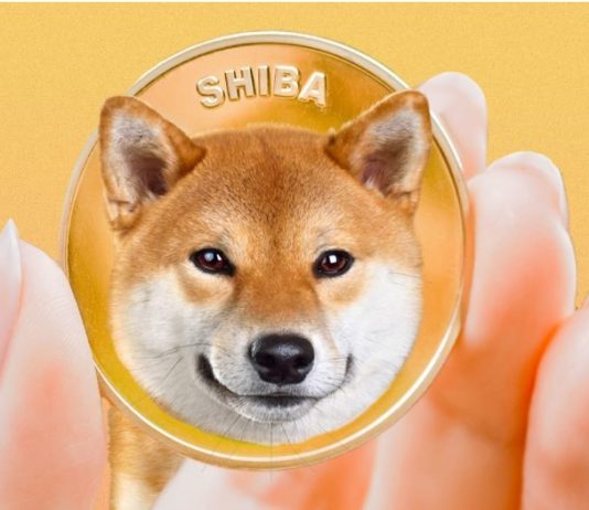Why A Main Investor Is Nonetheless Very Bullish On Shiba Inu, Even Amid Declines Why A Main Investor Is Nonetheless Very Bullish On Shiba Inu, Even Amid Declines