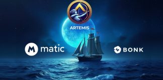 Navigating the Crypto Seas: Artemis Coin, Matic, and Bonk Navigating the Crypto Seas: Artemis Coin, Matic, and Bonk
