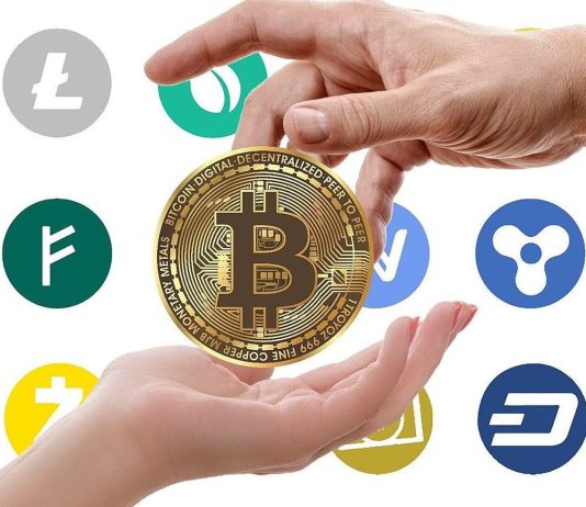 Main Bitcoin Addresses See 5% Holding Increase – What’s Driving The Accumulation?