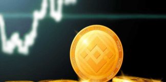 BNB Weekly Energetic Addresses Surge Over 6% – Is A Rally On The Means?