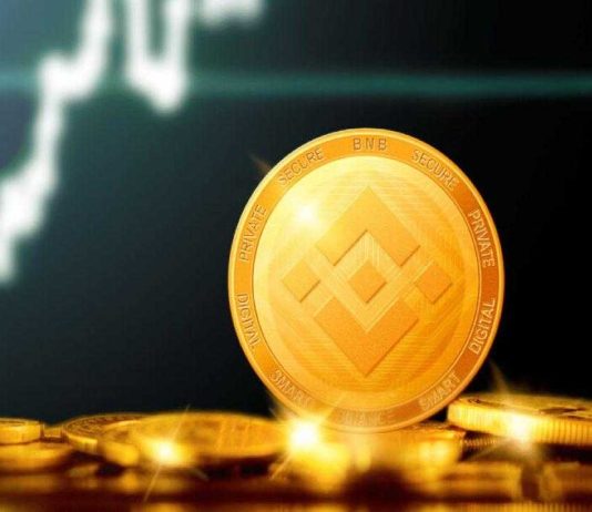 BNB Weekly Energetic Addresses Surge Over 6% – Is A Rally On The Means?