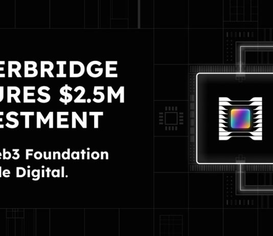 Web3 Basis and Scytale Lead $2.5 Million Seed Funding in Hyperbridge to Construct the Finish-Sport for Blockchain Interoperability on Polkadot