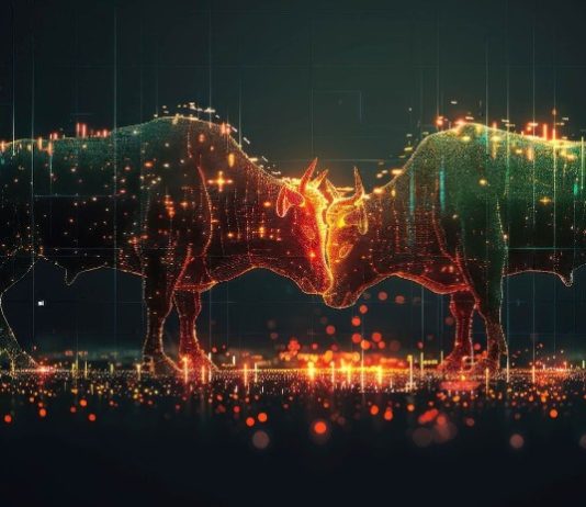 Crypto to Purchase Now for Subsequent Bull Run: Put together to Multiply Your Portfolio Earnings by 1000x!