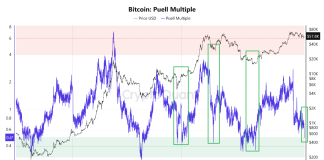 Legendary Bitcoin Puell A number of Lastly Enters ‘Purchase’ Territory