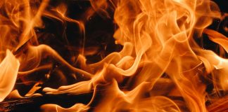 Blazing Solana: Analyst Foresees Practically 700% Value Explosion Blazing Solana: Analyst Foresees Practically 700% Value Explosion