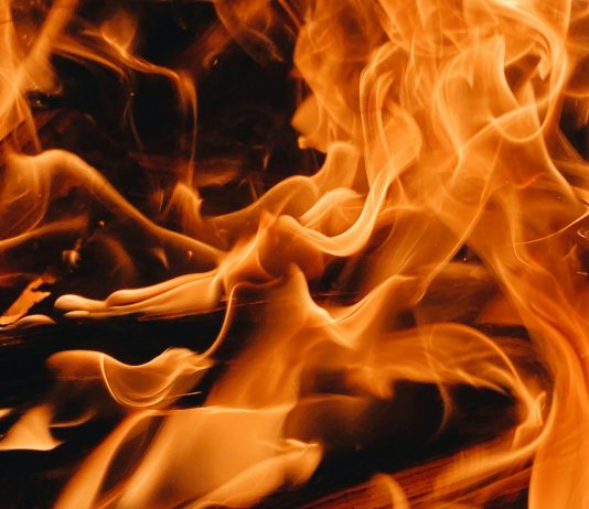 Blazing Solana: Analyst Foresees Practically 700% Value Explosion