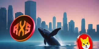 Crypto Dealer Who Predicted Shiba Inu’s 10,000,000% Rally Makes Whale-Sized Funding in New Coin Below $0.05—The Subsequent SHIB?
