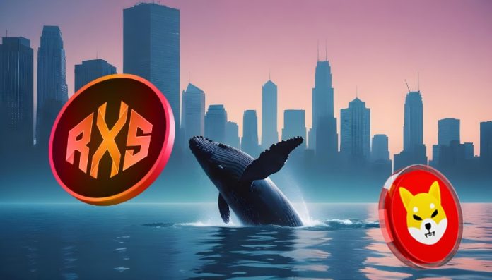 Crypto Dealer Who Predicted Shiba Inu’s 10,000,000% Rally Makes Whale-Sized Funding in New Coin Below $0.05—The Subsequent SHIB?