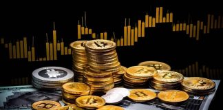 7 New Crypto Cash within the Market to Put money into: Tasks with 1000x Earnings by January 2025 (Flip $100 into Hundreds!)