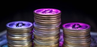 Greatest Crypto Presales: Set for 1000x Debut by the Finish of December 2024!