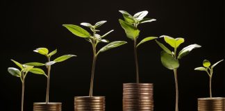 Finest Crypto Cash to Purchase now: New Cryptos with 1000x Potential (double up your returns by January 2025)
