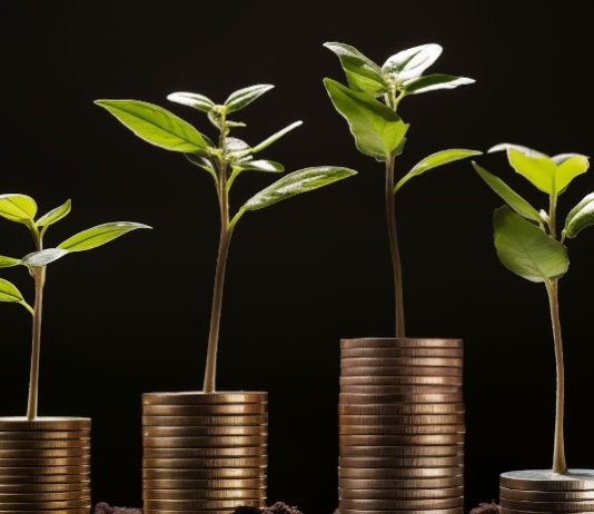 Finest Crypto Cash to Purchase now: New Cryptos with 1000x Potential (double up your returns by January 2025)