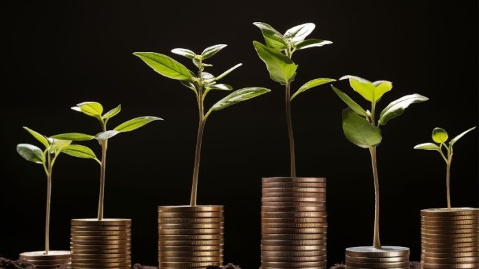 Finest Crypto Cash to Purchase now: New Cryptos with 1000x Potential (double up your returns by January 2025)