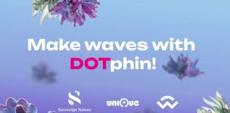 The Sovereign Nature Initiative Releases DOTphin: Eco-Evolving Avatars On Polkadot at Token 2049 in Singapore