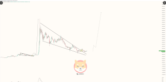 Shiba Inu Eyes Explosive 430% Climb As Momentum Builds —Analyst Shiba Inu Eyes Explosive 430% Climb As Momentum Builds —Analyst