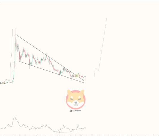 Shiba Inu Eyes Explosive 430% Climb As Momentum Builds —Analyst