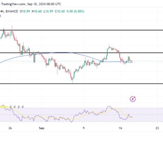 Chainlink Alerts Deeper Losses: Can Bulls Stage A Comeback?