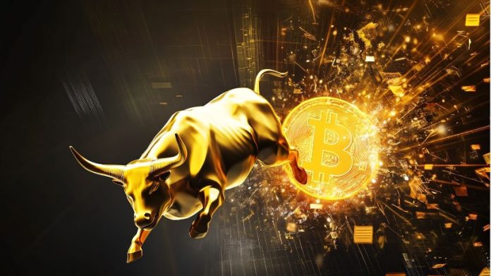 High Altcoins for Crypto Bull Run You Want To Add To Your Portfolio – These Cryptos Will Flip Your $500 Funding into $20000 by January!