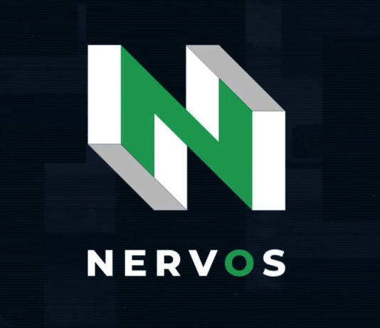 Nervos (CKB) Stuns Crypto Market With 120% Rally—Is This Development Sustainable?