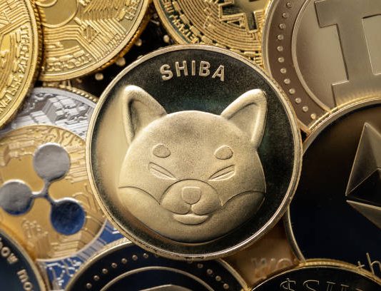 Shiba Inu Jumps Almost 6% In Newest Worth Rebound, Rally Incoming?