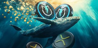 XRP Value Positive factors 8%, is 100x Doable as Ripple Chairman strikes XRP? JetBolt attracts Ripple Whales as Presale Surges XRP Value Positive factors 8%, is 100x Doable as Ripple Chairman strikes XRP? JetBolt attracts Ripple Whales as Presale Surges