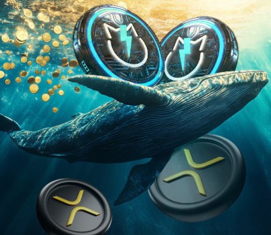 XRP Value Positive factors 8%, is 100x Doable as Ripple Chairman strikes XRP? JetBolt attracts Ripple Whales as Presale Surges