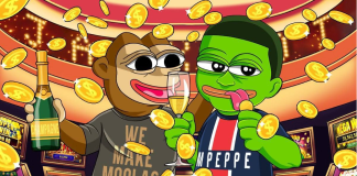 Nervos Community Bulls Add Extra Earnings To Their Wallets With Playing Token Mpeppe