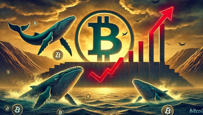 Bitcoin Value Rally Faces Key Resistance: Will Whale Shorts Set off A Market Pullback?